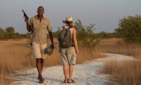 Circuits sur mesure Botswana : idées d’itinéraires uniques entre delta de l’okavango et savane