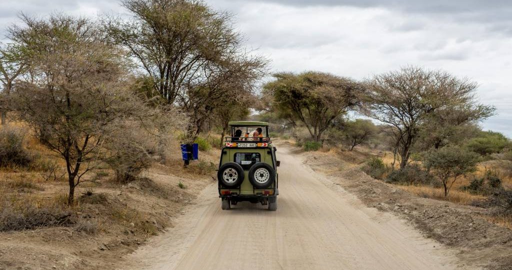 Voyage en tanzanie : itinéraires de 7 à 15 jours pour découvrir le pays