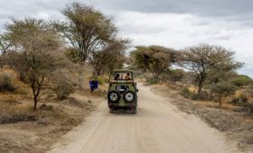Voyage en tanzanie : itinéraires de 7 à 15 jours pour découvrir le pays