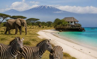 Voyage en tanzanie et à zanzibar : les incontournables à découvrir